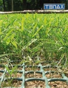 Apsauginis tinklas vejai PET TR FLEX