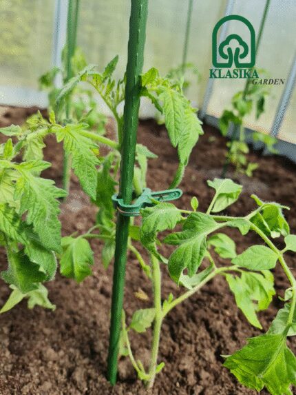 Laikikliai augalams - Didelis