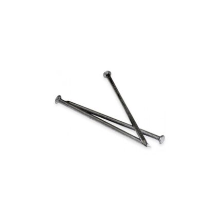 Metalinė vinis bortui