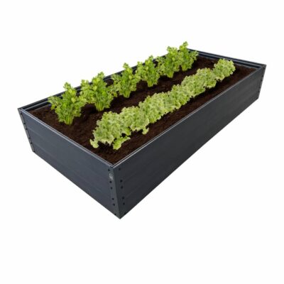 NAUJO DIZAINO GPPS pakelta lysvė KLASIKA Woodlook - Ruda