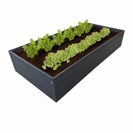 NAUJO DIZAINO GPPS pakelta lysvė KLASIKA Woodlook - Ruda