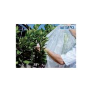 Agro plėvelė ORTOCLIMA