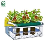 Augalų drėkinimo dėžė KLASIKA Garden Basic - Image 2