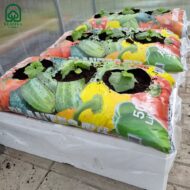 Augalų drėkinimo dėžė KLASIKA Garden Basic - Image 3