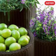 CYLINDER S+M+L vazonų komplektas - Image 2