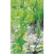 Kuoliukai augalams, spiraliniai, klasikinio tipo, metaliniai, žali 120cm, 150cm, 180cm - Image 3