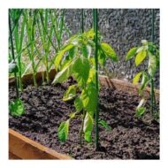 Naujiena! Kuoliukai augalams, tiesūs, žali, metaliniai, 120cm, 150cm, 180cm - Image 3