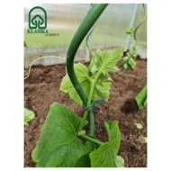 Laikikliai augalams - Image 2