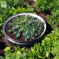 Metalinė užtvarėlė-žiedas augalų atskyrimui - Image 3