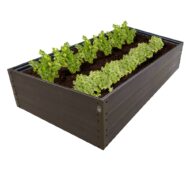 NAUJIENA! GPPS pakelta lysvė KLASIKA Woodlook