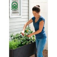 Pakeltas vazonas EASY GROW - Image 5