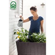 Pakeltas vazonas EASY GROW - Image 8