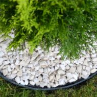 Plastikinis vejos bortas, juodas 8 x 100 cm - Image 10