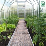 Šiltnamio takelio atskyrimas - Image 2