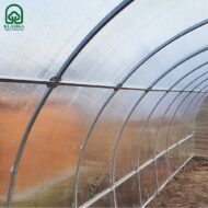 Šiltnamis KLASIKA TUBE 18 PREMIUM - Image 5