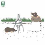 Spąstai kurmiams - Image 2