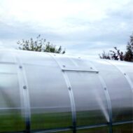 Stoglangis šiltnamiui BALTIC LT - Image 4