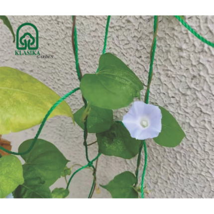 Tinklas lipantiems augalams