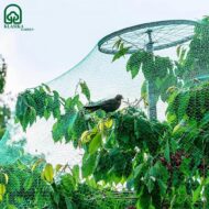 Tinklas nuo paukščių - Image 2